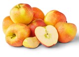 Penny - Deutsche rote Äpfel Angebot im Prospekt Deutsche rote Äpfel bei Penny im Prospekt "" für 1,29 €