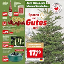 Weihnachtsbaum im Thomas Philipps Prospekt "Top Angebote" mit 24 Seiten (Amberg)