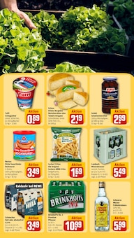 Bier im REWE Prospekt "Dein Markt" mit 28 Seiten (Münster)