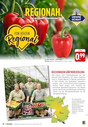 Paprika im E center Prospekt in Bad Kreuznach Aktueller E center Prospekt mit Paprika, "Aktuelle Angebote", Seite 4