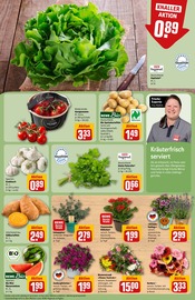 Deko im REWE Prospekt in Fürth Aktueller REWE Prospekt mit Deko, "Dein Markt", Seite 7