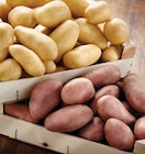 Intermarché Contact Saint-Privat-des-Vieux - Promo Pommes de terre de consommation à chair ferme Promo Pommes de terre de consommation à chair ferme à 1,69 € dans le catalogue Intermarché Contact à Saint-Privat-des-Vieux
