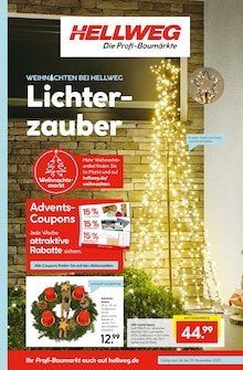 Adventskranz im Hellweg Prospekt "Die Profi-Baumärkte" mit 24 Seiten (Potsdam)