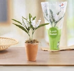 Muguet 2 griffes - U - U Express à Strasbourg Muguet 2 griffes - U en promo chez U Express Strasbourg à 3,91 €