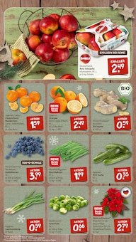 Zimmerpflanzen im nahkauf Prospekt "nichts liegt näher" mit 8 Seiten (Mannheim)