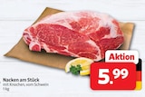 Nacken bei Markant Nordwest im Lippstadt Prospekt für 5,99 €