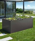 Hochbeet 2x1 Dunkelgrau-Metallic bei OBI im Warburg Prospekt für 479,99 €