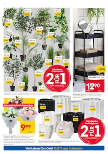 Zimmerpflanzen im aktuellen Rusta Prospekt (Essen) Zimmerpflanzen im Rusta Prospekt "Willkommen zu Hause in Schweden!" mit 18 Seiten (Essen)