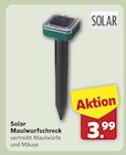 Solar Maulwurfschreck bei combi im Wallenhorst Prospekt für 3,99 €