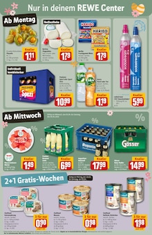 Volvic im REWE Prospekt "Dein Markt" mit 36 Seiten (Germering)