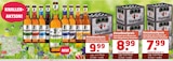 Bier Angebote von Wingelsteiner bei Getränke Quelle WVG Magdeburg für 7,99 €