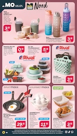 Frischhaltedose Angebote im Prospekt "Günstig. Besser. Für Dich." von Netto mit dem Scottie auf Seite 16