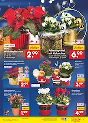 Aktueller Netto Marken-Discount Prospekt mit Blumen, "Aktuelle Angebote", Seite 7