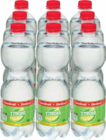 Aktuelles Cola oder Limonaden mit oder ohne Zucker Angebot bei Netto Marken-Discount in Magdeburg ab 2,00 €