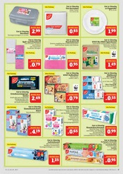 Dekoration im Marktkauf Prospekt in Plauen Aktueller Marktkauf Prospekt mit Dekoration, "AUSWAHL RIESIG, PREISE NIEDRIG", Seite 37