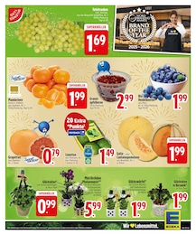Bio Heidelbeeren Angebot im aktuellen EDEKA Prospekt auf Seite 7