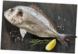 Dorade Royal im Angebot bei REWE in Herten Dorade Royal Angebote bei REWE Herten für 1,59 €