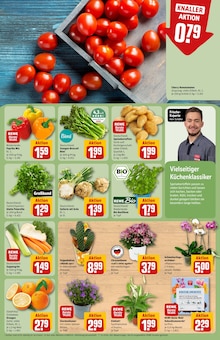 Blumen im aktuellen REWE Prospekt (Hamburg) Blumen im REWE Prospekt "Dein Markt" mit 42 Seiten (Hamburg)