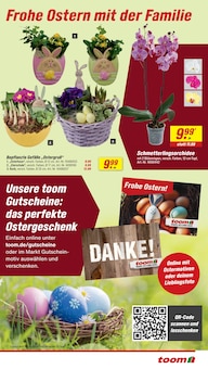 Orchidee im toom Baumarkt Prospekt "Respekt, wer's selber macht." mit 24 Seiten (Düsseldorf)