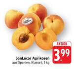 EDEKA - Aprikosen Angebot im Prospekt Aprikosen bei EDEKA im Prospekt "" für 3,99 €