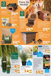 Gartenhaus im Globus-Baumarkt Prospekt in Saarbrücken Aktueller Globus-Baumarkt Prospekt mit Gartenhaus, "Immer eine Idee besser", Seite 5