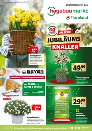 Hagebaumarkt Prospekt für Raunheim: "UNSERE JUBILÄUMS KNALLER", 24 Seiten, 23.03.2024 - 30.03.2024