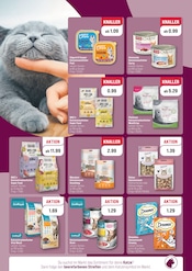 Ähnliche China Böller Angebote im Prospekt "MEGA AKTION!" von ZooRoyal in Hamburg Ähnliche Angebote wie China Böller im Prospekt "MEGA AKTION!" auf Seite 4 von ZooRoyal in Hamburg