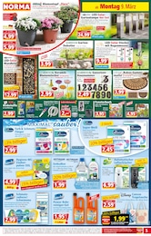 Kleber Angebot im aktuellen Norma Prospekt auf Seite 5