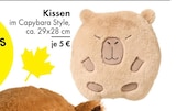 Kissen im Angebot bei TEDi in Sankt Augustin Kissen Angebote bei TEDi Sankt Augustin für 5,00 €