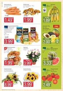 Äpfel Angebot im aktuellen Marktkauf Prospekt auf Seite 8
