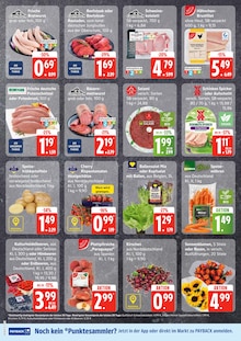 EDEKA Frischemarkt Nebel Prospekt der aktuellen Woche, gültig von 07.07.2025 bis 12.07.2025 Aktueller EDEKA Frischemarkt Nebel Prospekt "Top Angebote" mit 5 Seiten