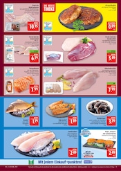 Karpfen im Marktkauf Prospekt in Leipzig Aktueller Marktkauf Prospekt mit Karpfen, "AUSWAHL RIESIG, PREISE NIEDRIG", Seite 15
