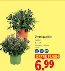 Veronique mix - Lidl Veronique mix à 6,99 € dans le catalogue Lidl