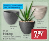 Pflanztopf Angebote von Belavi bei ALDI Nord Warendorf für 7,99 €