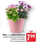 Beet- und Balkonpflanzen Angebote bei EDEKA Heilbronn für 7,99 €