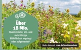 im Angebot bei REWE in Kiel Angebote bei REWE Kiel
