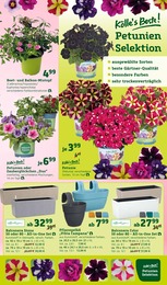 Balkonpflanzen im Pflanzen Kölle Prospekt "Gratis Pflanzaktion!" auf Seite 3