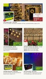 Aktueller Pflanzen Kölle Prospekt mit Vorhang, "WINTERZAUBER ERLEBEN", Seite 7