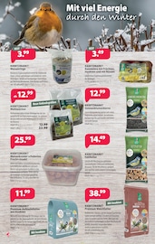 Sonnenblumenkerne im Kiebitzmarkt Prospekt in Bocholt Aktueller Kiebitzmarkt Prospekt mit Sonnenblumenkerne, "Für gemütliche Stunden!", Seite 2