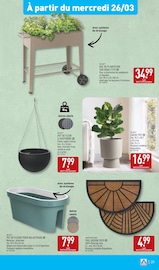 Promos Bac À Plante dans le catalogue "ARRIVAGES ORIENTAUX À PRIX DISCOUNT" de Aldi à la page 31