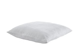 Aktuelle Kopfkissen Angebote bei Sconto SB in Dresden Aktuelles Kopfkissen Lina Angebot bei Sconto SB in Dresden ab 9,99 €