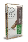Gamm vert Cloyes-sur-le-Loir - Promo Mélange pigeon 4 saisons Gamm vert Promo Mélange pigeon 4 saisons Gamm vert à 16,99 € dans le catalogue Gamm vert à Cloyes-sur-le-Loir