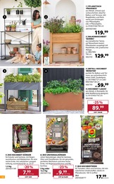 Dehner Garten-Center Pflanztisch im Prospekt 