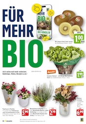 Aktueller E center Prospekt mit Pflanzen, "Aktuelle Angebote", Seite 5