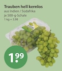 Trauben hell kernlos bei V-Markt im Günzburg Prospekt für 1,99 €