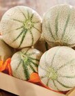 Intermarché Saint-Riquier - Promo MELON CHARENTAIS Promo MELON CHARENTAIS à 3,50 € dans le catalogue Intermarché à Saint-Riquier
