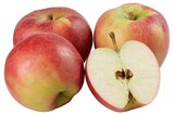 Aktuelles Rote Bio Tafeläpfel Angebot bei REWE in Erlangen ab 1,79 €