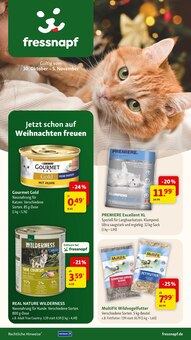 Katzenstreu im aktuellen Fressnapf Prospekt (Oldenburg) Katzenstreu im Fressnapf Prospekt "Jetzt schon auf Weihnachten freuen" mit 23 Seiten (Oldenburg)