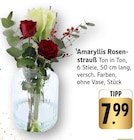 Amaryllis Rosenstrauß Angebote bei E center Konstanz für 7,99 €