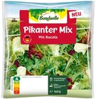 Pikanter Mix bei REWE im Weinheim Prospekt für 1,59 €